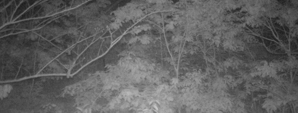 May 17 2025  0:34:20, #01