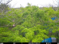 May 17 2025  6:34:21, #01