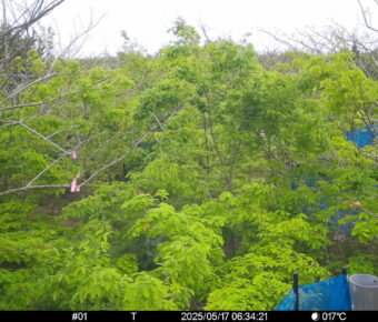May 17 2025  6:34:21, #01