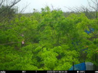 May 17 2025  9:34:20, #01
