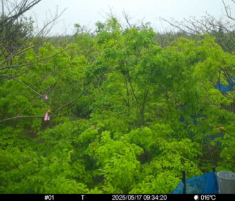 May 17 2025  9:34:20, #01
