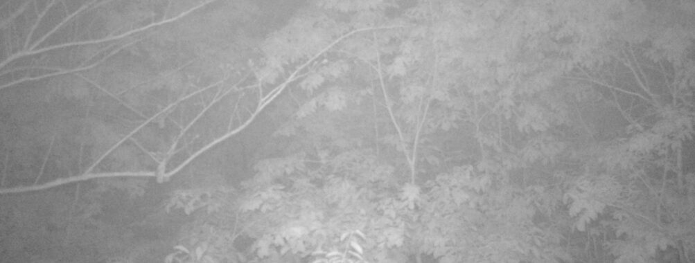 May 17 2025 21:34:21, #01