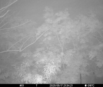 May 17 2025 21:34:21, #01