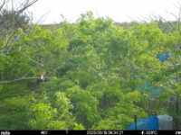 May 18 2025  6:34:21, #01