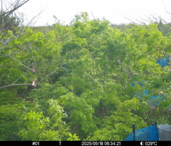 May 18 2025  6:34:21, #01