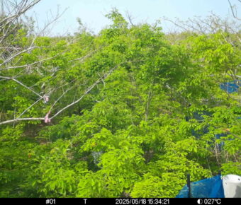 May 18 2025 15:34:21, #01