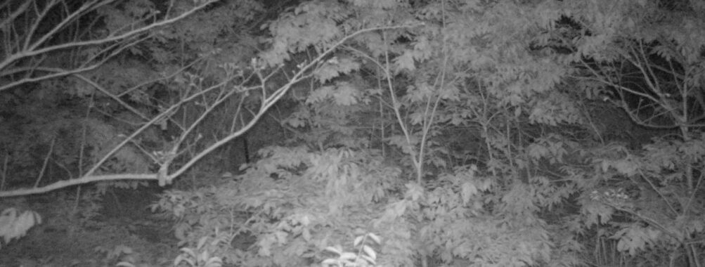 May 18 2025 21:34:21, #01