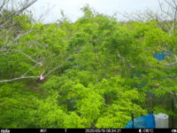 May 19 2025  6:34:21, #01