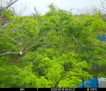 May 19 2025  6:34:21, #01