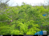 May 19 2025  9:34:21, #01