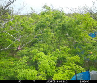 May 19 2025  9:34:21, #01
