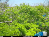 May 19 2025 12:34:20, #01