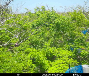 May 19 2025 12:34:20, #01