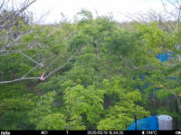 May 19 2025 18:34:20, #01