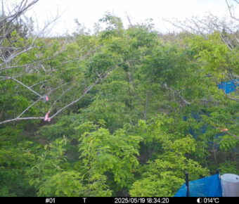 May 19 2025 18:34:20, #01