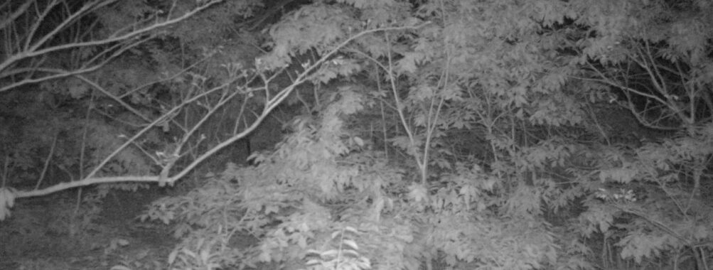 May 19 2025 21:34:20, #01