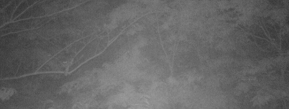 May 20 2025  3:34:20, #01