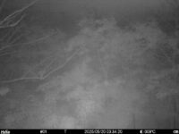 May 20 2025  3:34:20, #01