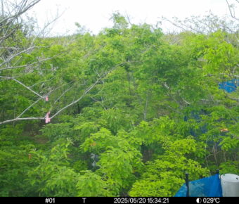 May 20 2025 15:34:21, #01