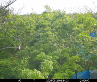May 21 2025  6:34:21, #01
