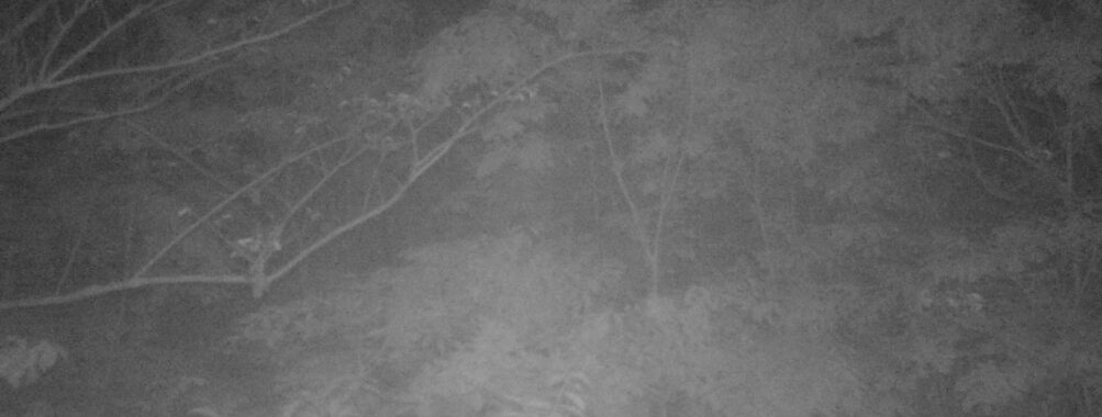 May 22 2025  3:34:20, #01