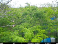 May 22 2025 12:34:20, #01