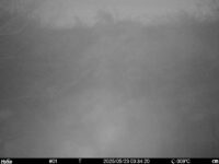 May 23 2025  3:34:20, #01