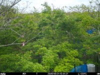 May 24 2025 12:34:21, #01