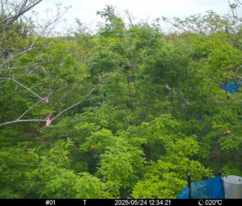 May 24 2025 12:34:21, #01