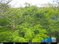 May 24 2025 15:34:20, #01