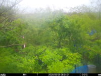 May 25 2025  6:34:21, #01
