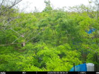 May 25 2025  9:34:20, #01