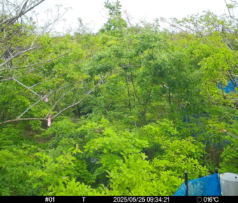 May 25 2025  9:34:20, #01