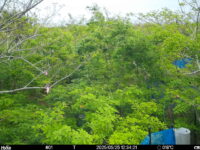 May 25 2025 12:34:21, #01