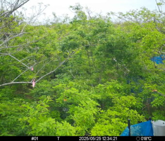 May 25 2025 12:34:21, #01