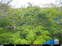 May 25 2025 15:34:20, #01