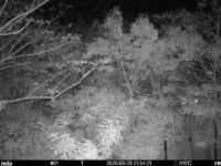 May 25 2025 21:34:21, #01