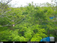 May 26 2025 12:34:21, #01