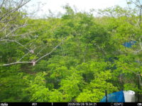 May 26 2025 15:34:21, #01