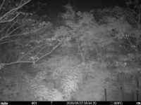 May 27 2025  0:34:20, #01