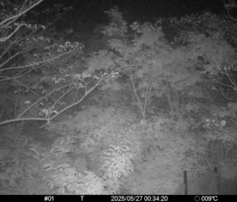 May 27 2025  0:34:20, #01