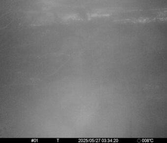 May 27 2025  3:34:20, #01