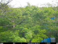 May 27 2025  6:34:21, #01