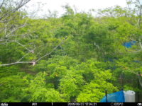 May 27 2025 12:34:21, #01