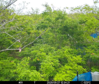 May 27 2025 12:34:21, #01