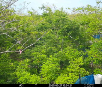 May 27 2025 15:34:21, #01