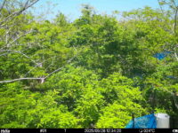 May 28 2025 12:34:20, #01