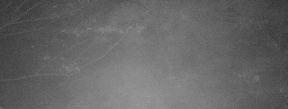 May 29 2025  0:34:20, #01