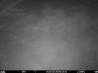 May 29 2025  0:34:20, #01