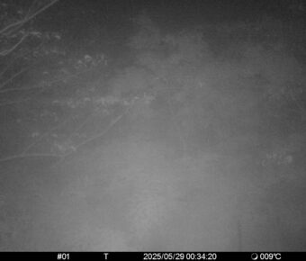 May 29 2025  0:34:20, #01